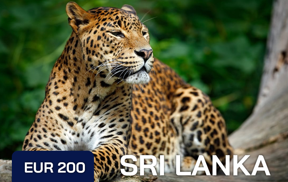 Sri-Lanka-3